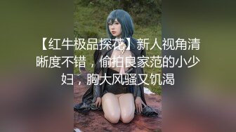 【红牛极品探花】新人视角清晰度不错，偷拍良家范的小少妇，胸大风骚又饥渴