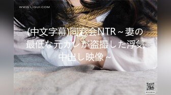 (中文字幕)同窓会NTR～妻の最低な元カレが盗撮した浮気中出し映像～