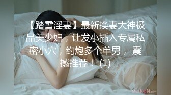 【踏雪淫妻】最新换妻大神极品美少妇，让发小插入专属私密小穴，约炮多个单男， 震撼推荐！ (1)