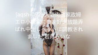 [aqsh-092] 人妻肉欲家政婦 エロ小説家に妻を好き放題弄ばれ中出しペットに調教されました 若月みいな