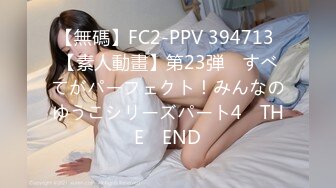 【無碼】FC2-PPV 394713 【素人動畫】第23弾　すべてがパーフェクト！みんなのゆうこシリーズパート4　THE　END