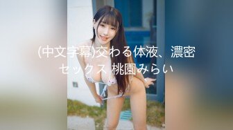 (中文字幕)交わる体液、濃密セックス 桃園みらい