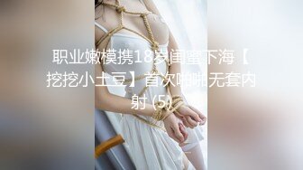 职业嫩模携18岁闺蜜下海【挖挖小土豆】首次啪啪无套内射 (5)